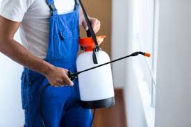 Best Fumigation Services  in Goodyear, AZ